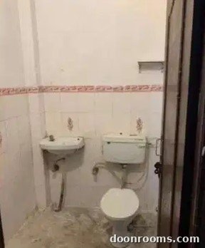 1 BHK - 1 Bathroom - 250 sqft